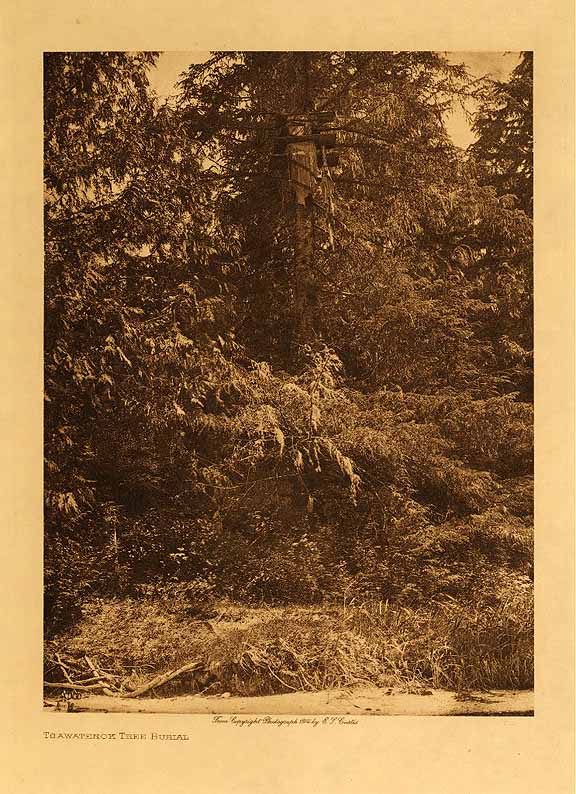 Tsawatenok Tree Burial